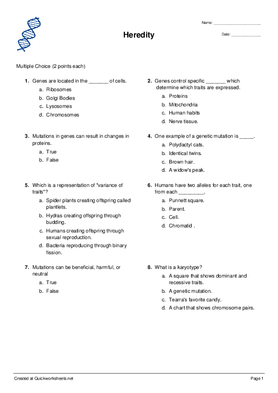 Shared Worksheet Thumbnail