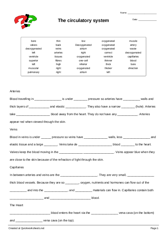 Quiz - The Circulatory System